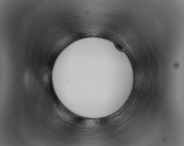 X0000099980126200806201434