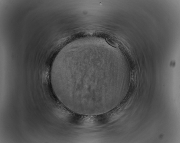 X0000099980127200806201434