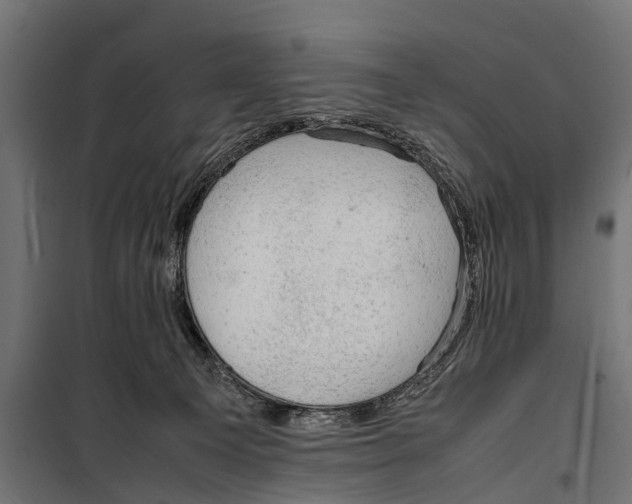 X0000099980129200806201434