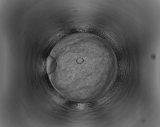 X0000099980130200806201434