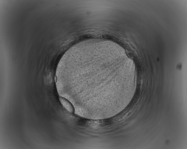 X0000099980131200806201434