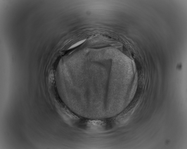 X0000099980137200806201434