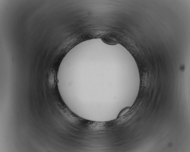 X0000099980138200806201434