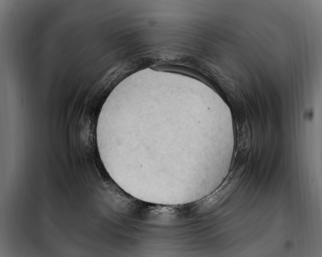 X0000099980140200806201434