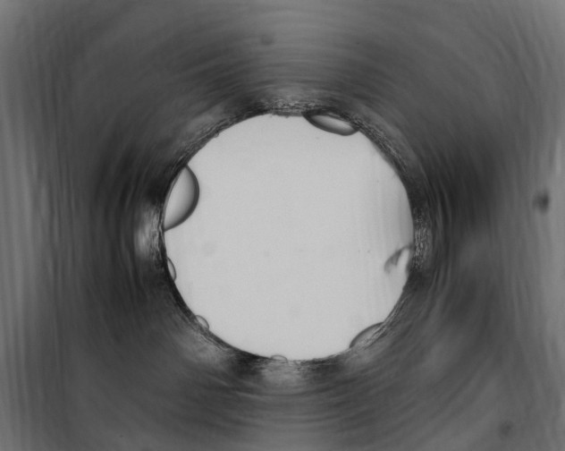 X0000099980142200806201434