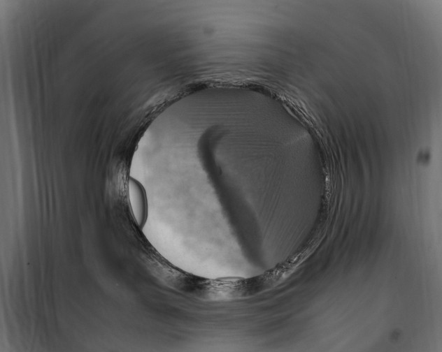 X0000099980143200806201434