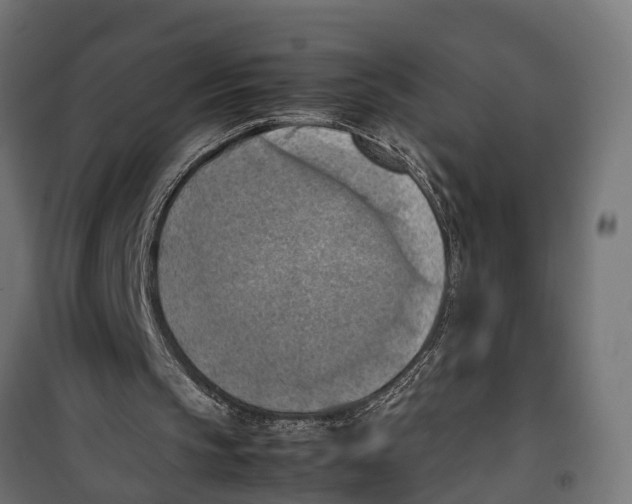 X0000099980145200806201434