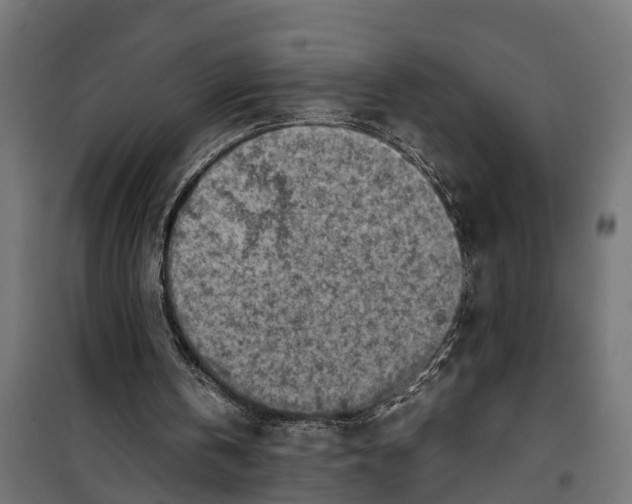 X0000099980146200806201434