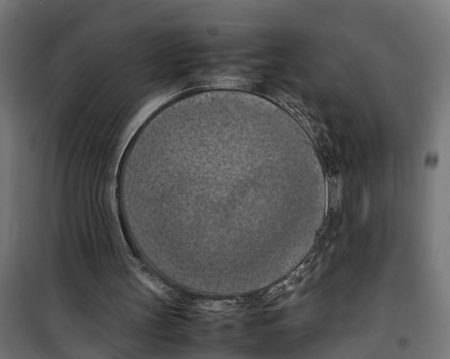 X0000099980147200806201434