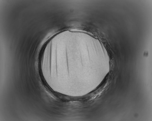 X0000099980150200806201434