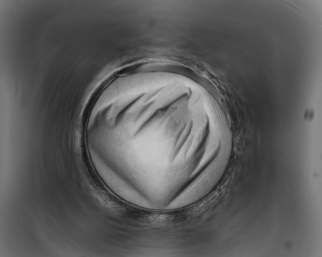 X0000099980152200806201434