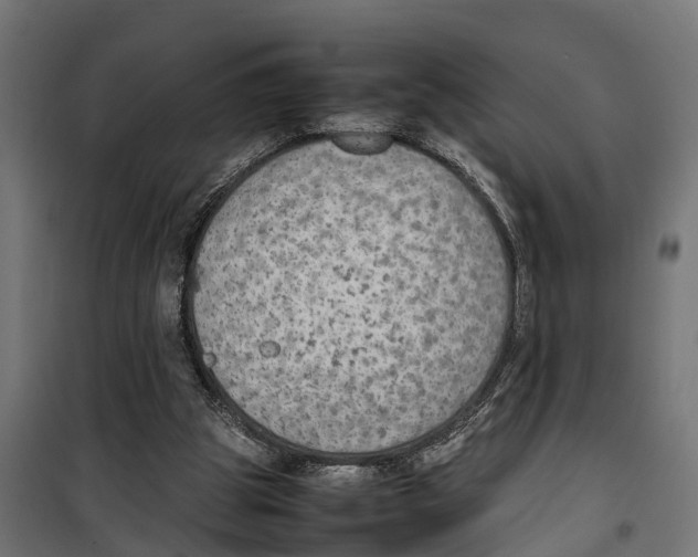 X0000099980153200806201434