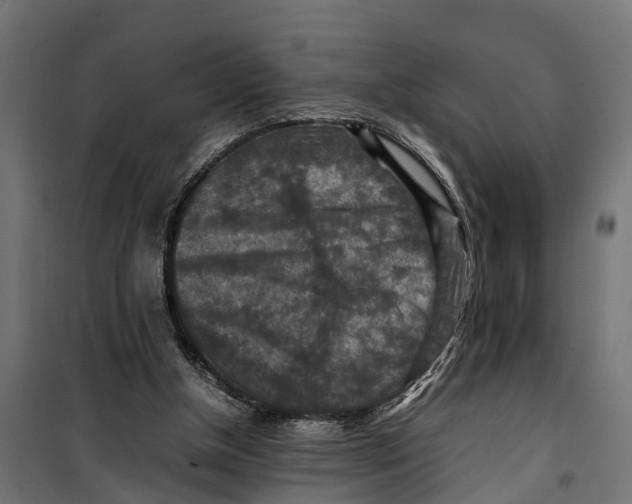 X0000099980154200806201434