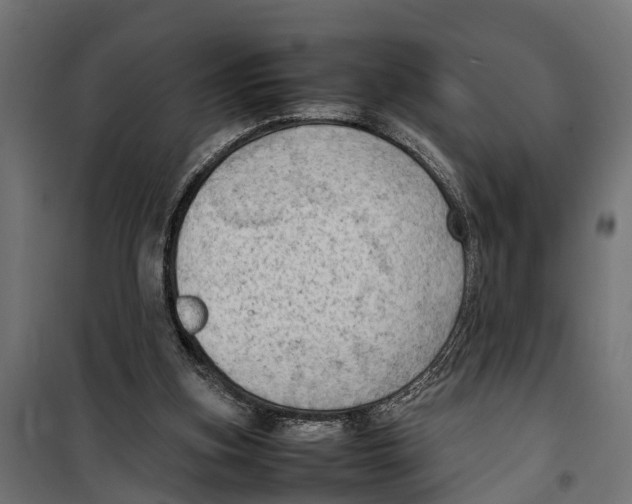 X0000099980155200806201434