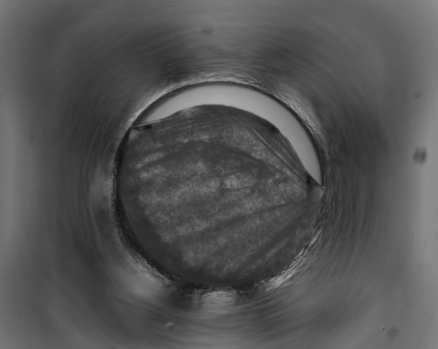 X0000099980156200806201434