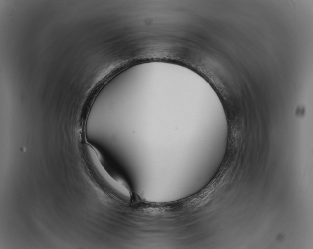 X0000099980160200806201434