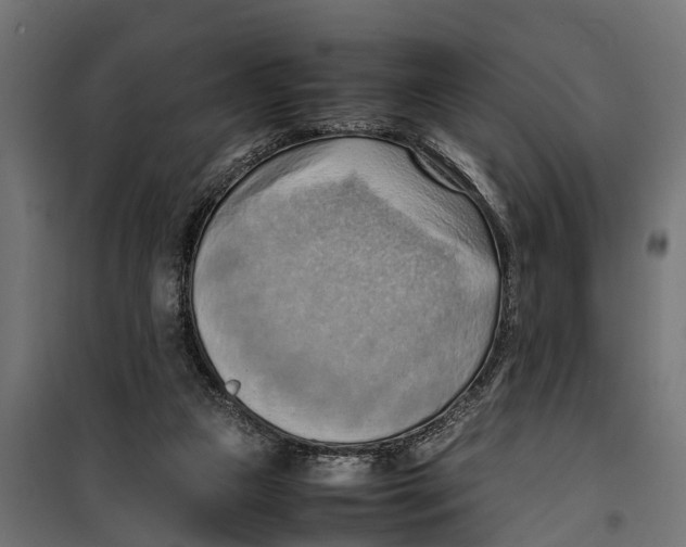 X0000099980161200806201434