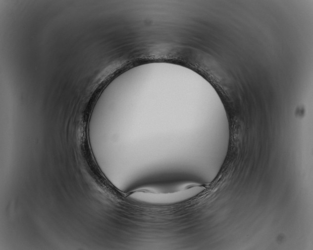 X0000099980164200806201434