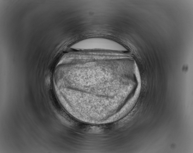 X0000099980166200806201434