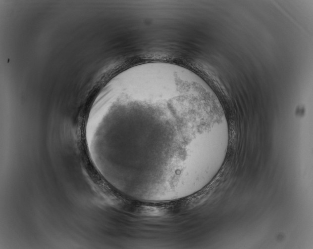 X0000099980167200806201434