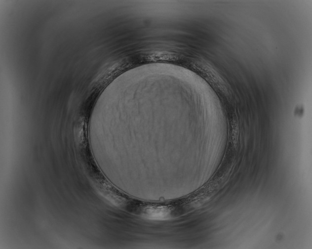 X0000099980169200806201434