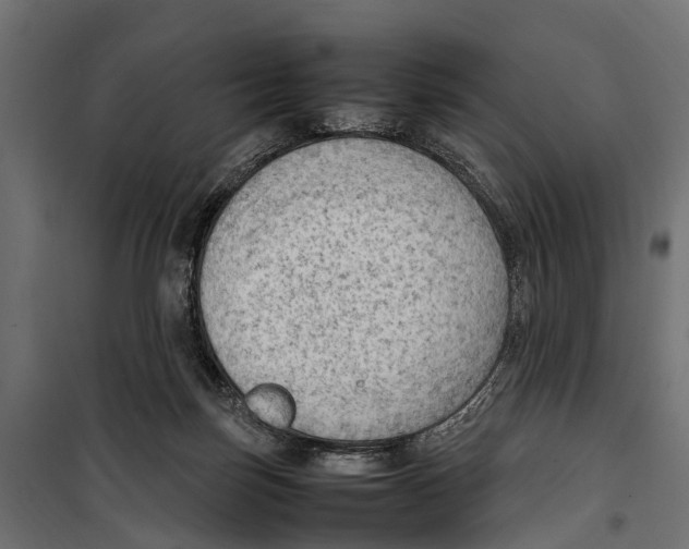 X0000099980171200806201434