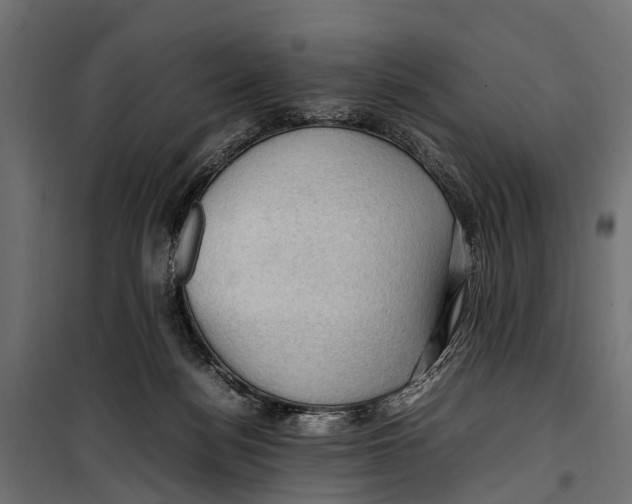 X0000099980172200806201434