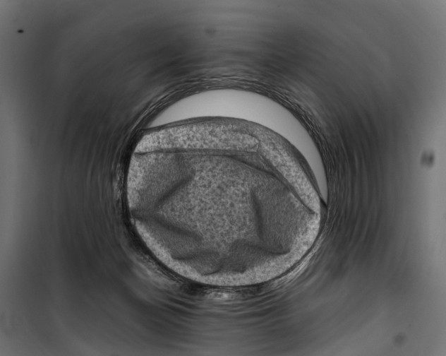 X0000099980174200806201434