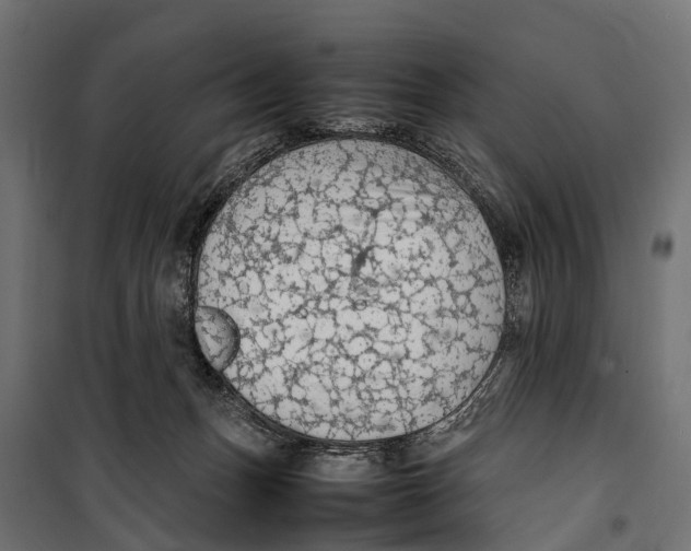 X0000099980175200806201434