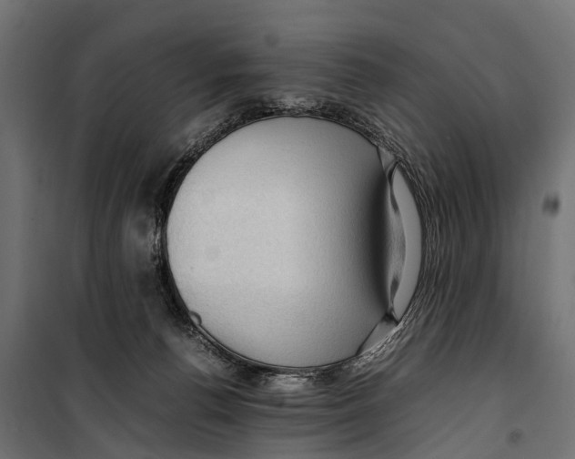 X0000099980176200806201434