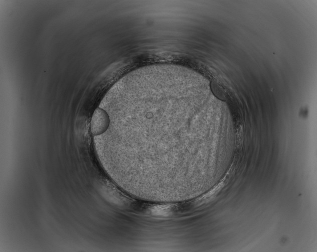 X0000099980178200806201434