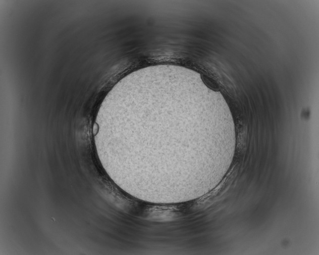 X0000099980179200806201434