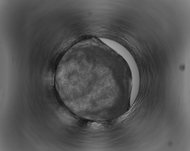 X0000099980180200806201434