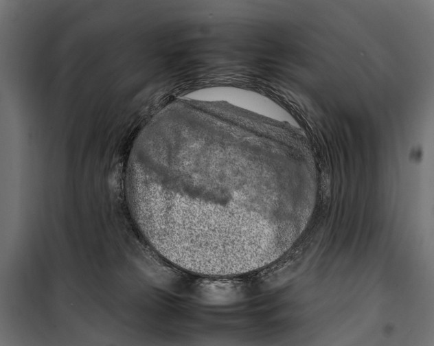 X0000099980181200806201434