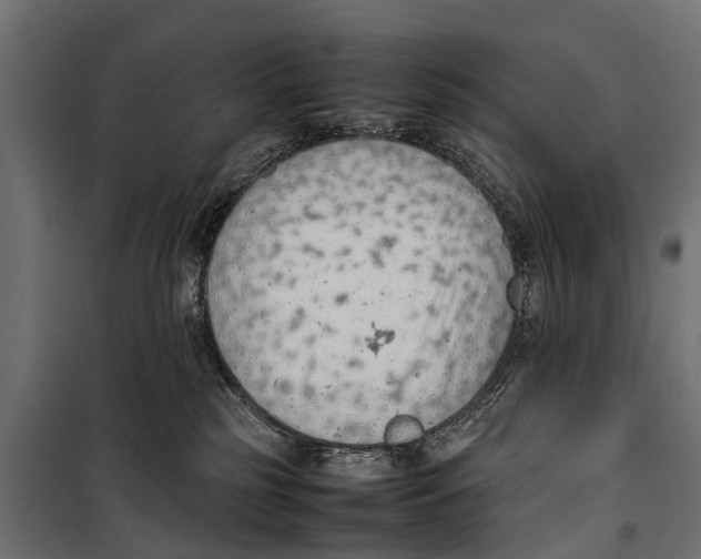 X0000099980185200806201434