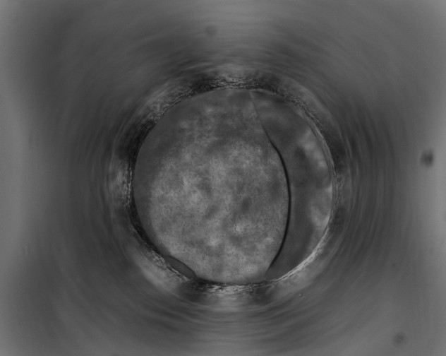 X0000099980186200806201434