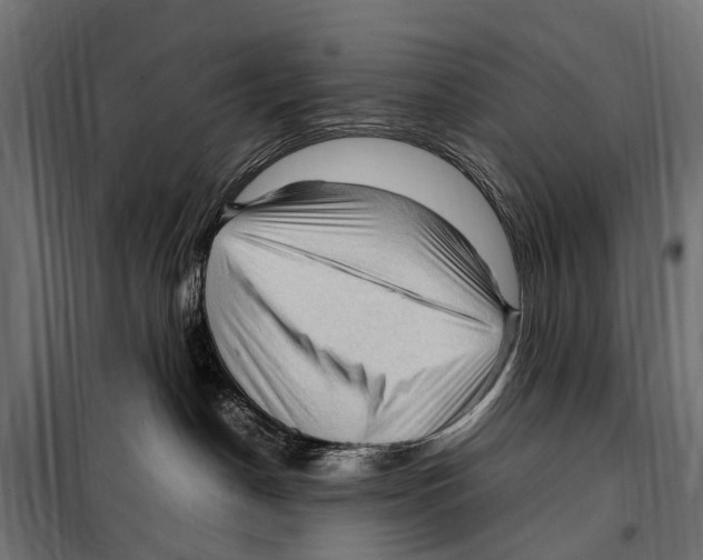 X0000099980190200806201434