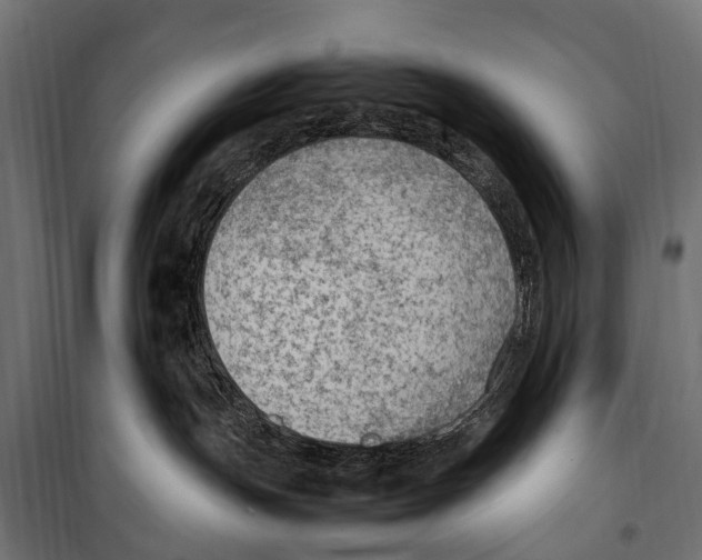 X0000099980191200806201434