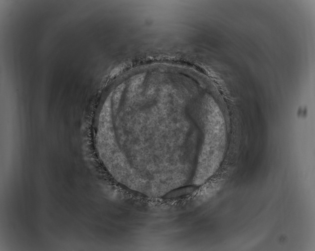 X0000099980192200806201434