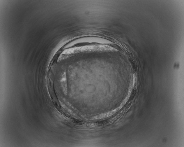 X0000099980195200806201433