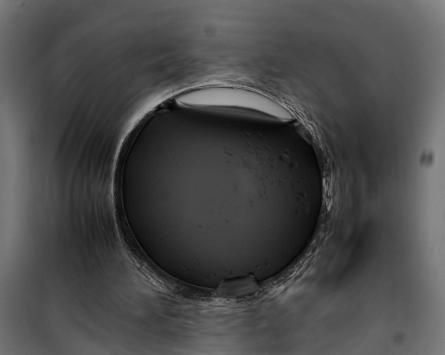 X0000099980196200806201433