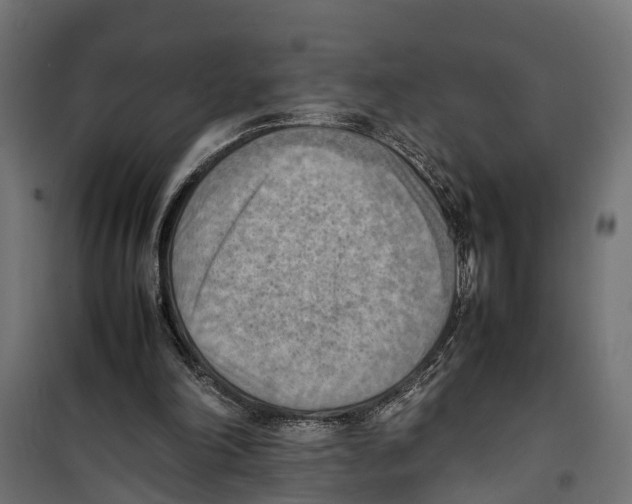 X0000099980198200806201433