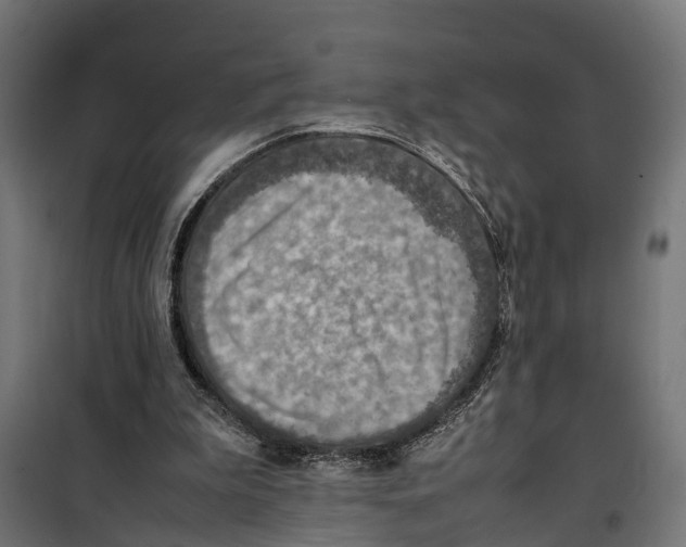 X0000099980199200806201433