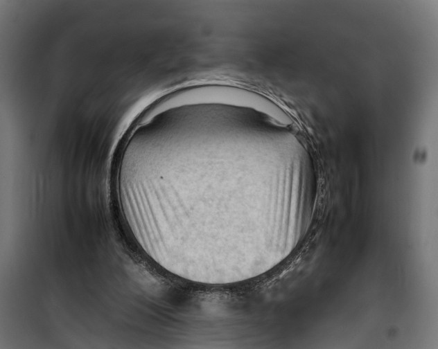 X0000099980200200806201433