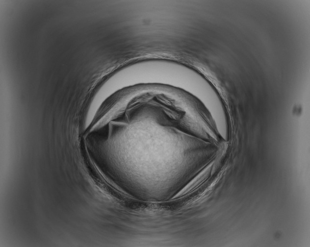 X0000099980201200806201433