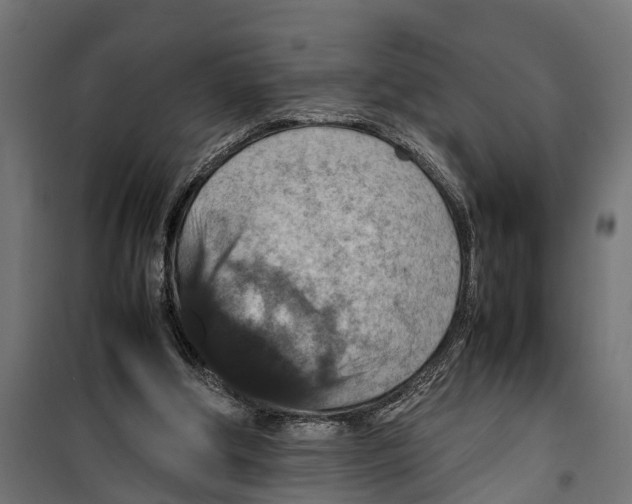 X0000099980202200806201433