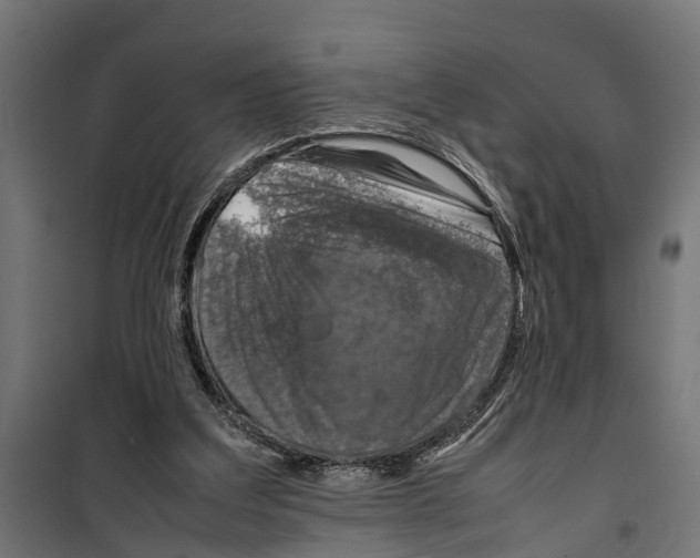 X0000099980203200806201433