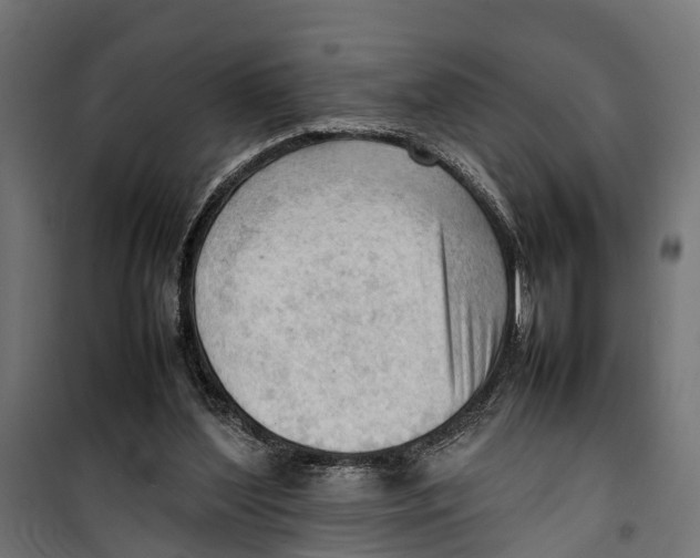 X0000099980204200806201433