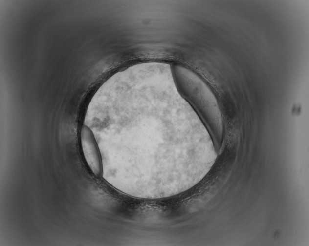 X0000099980207200806201433