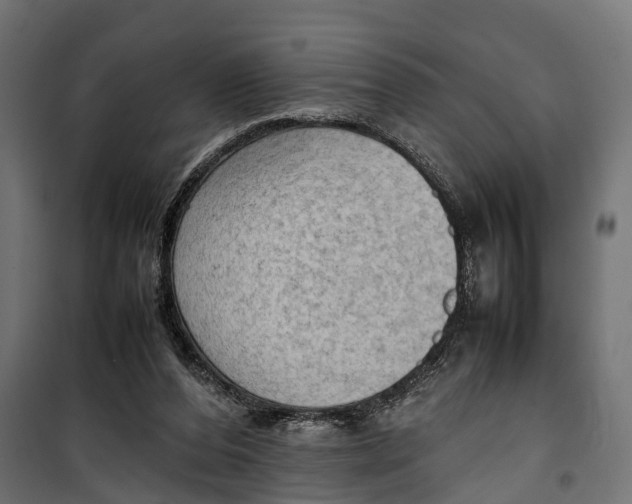 X0000099980208200806201433